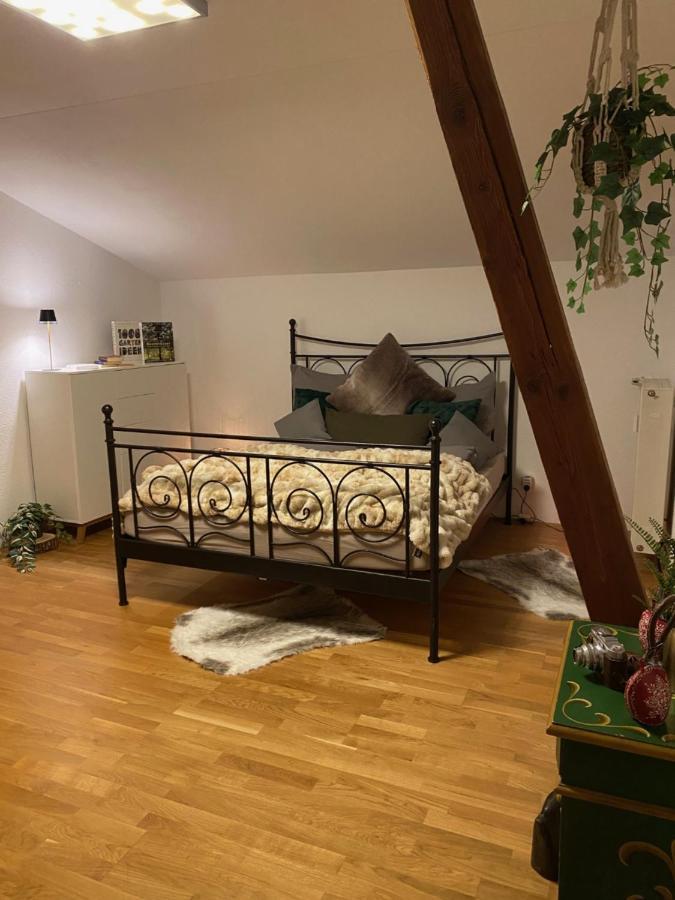Neues Ruhiges Apartment, Bergblick, Stellplatz 비쇼프스비에젠 외부 사진
