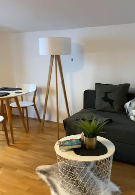 Neues Ruhiges Apartment, Bergblick, Stellplatz 비쇼프스비에젠 외부 사진