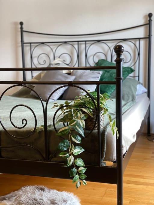 Neues Ruhiges Apartment, Bergblick, Stellplatz 비쇼프스비에젠 외부 사진